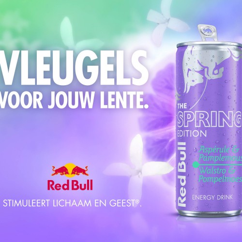 Sponsoring<BR> Red Bull